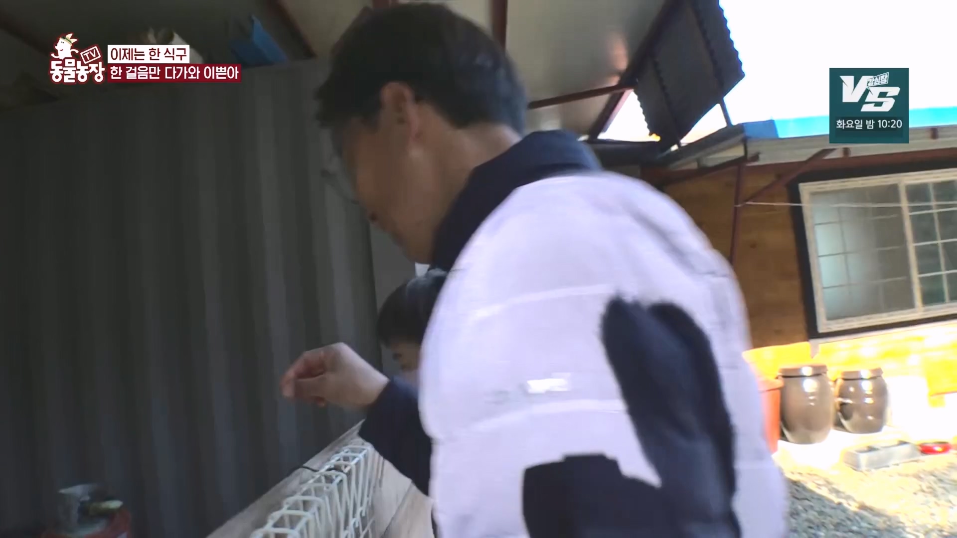 TV 동물농장.E1149.231210p.H264-F1RST.mp4_20231210_171106.461.jpg