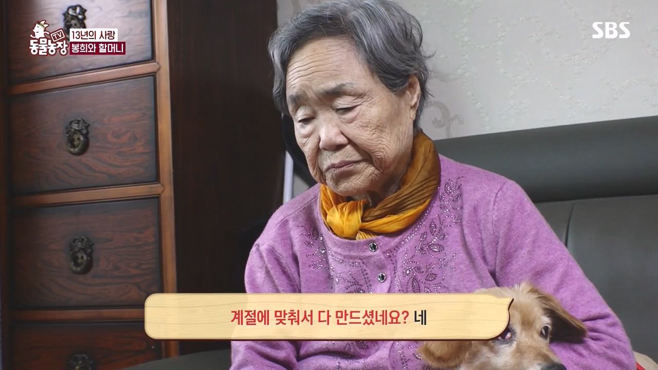 TV 동물농장.E1145.231113p-NEXT.mp4_20231112_173444.458.jpg