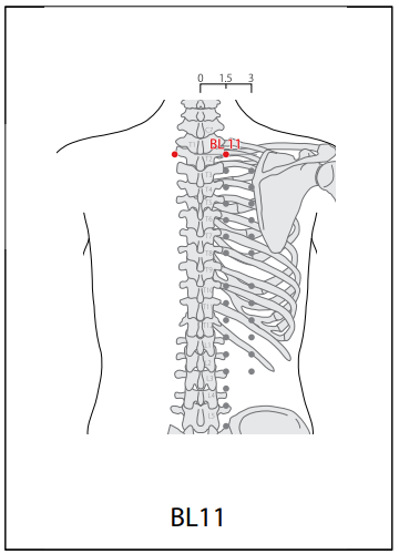 족태양방광경(BL) > BL11 대저 (大杼) 1