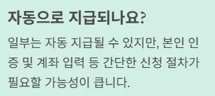 전국민 민생지원금 25만원 질문3
