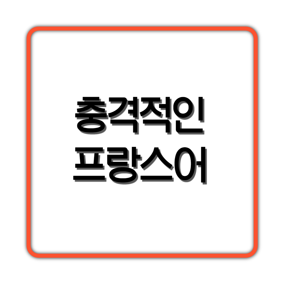  충격적인 프랑스어;;;