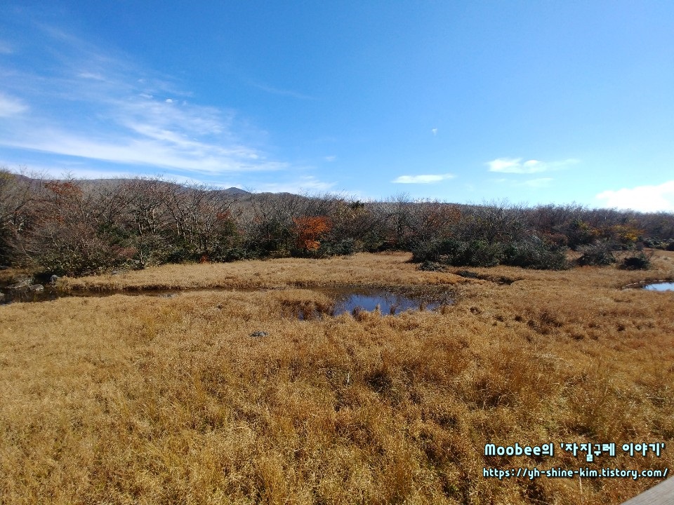 제주도 1100고지