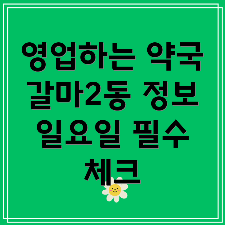 대전 갈마2동 일요일 약국