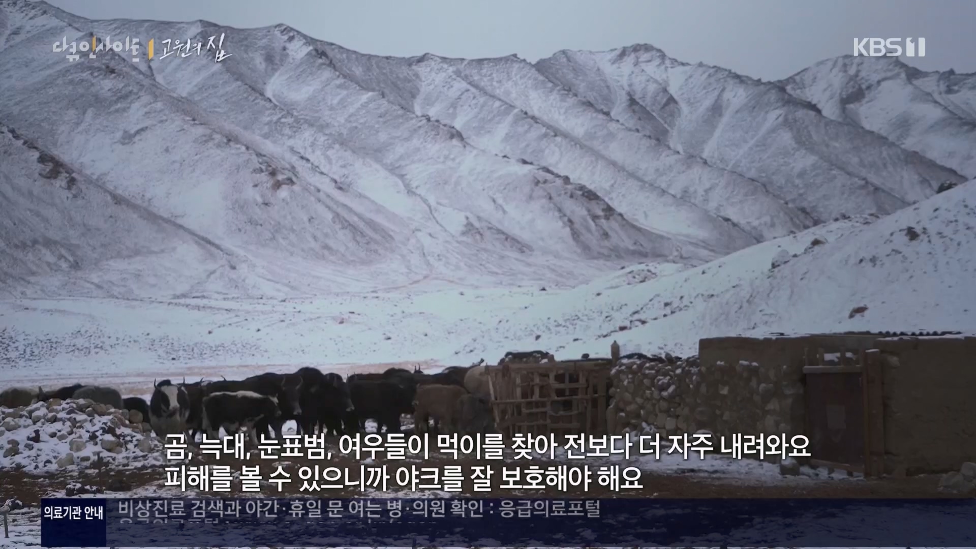 다큐 인사이트.E176.240328p.H264-F1RST.mp4_20240330_162905.170.jpg