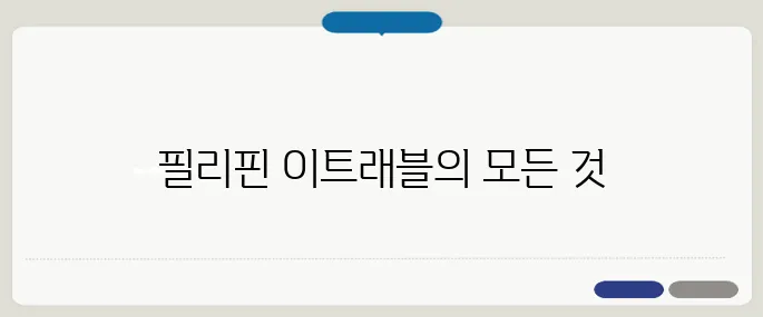 필리핀 이트래블 작성 가이드