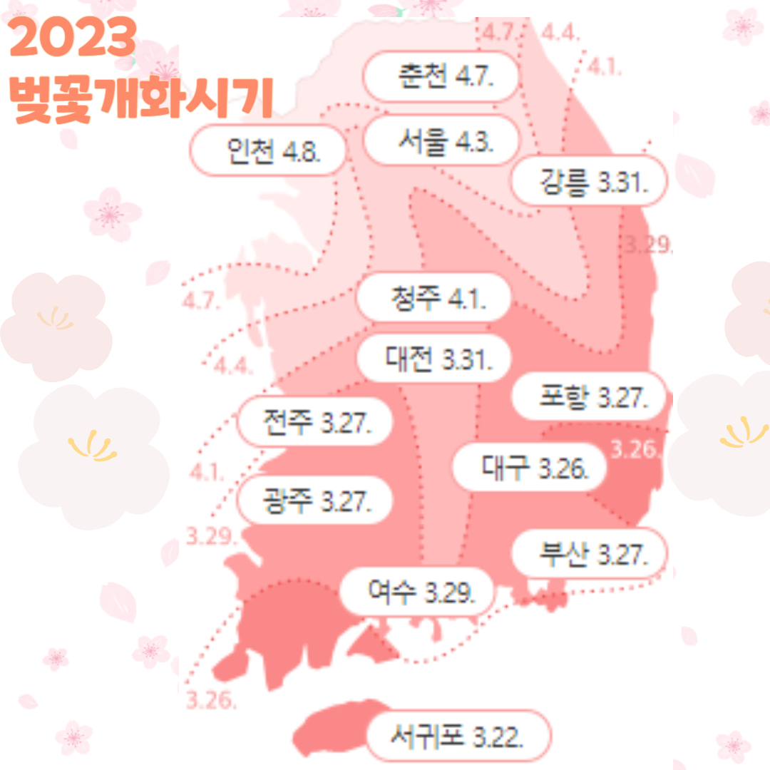 2023-벚꽃개화시기