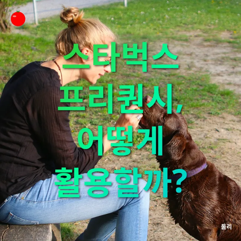 스타벅스 프리퀀시_3