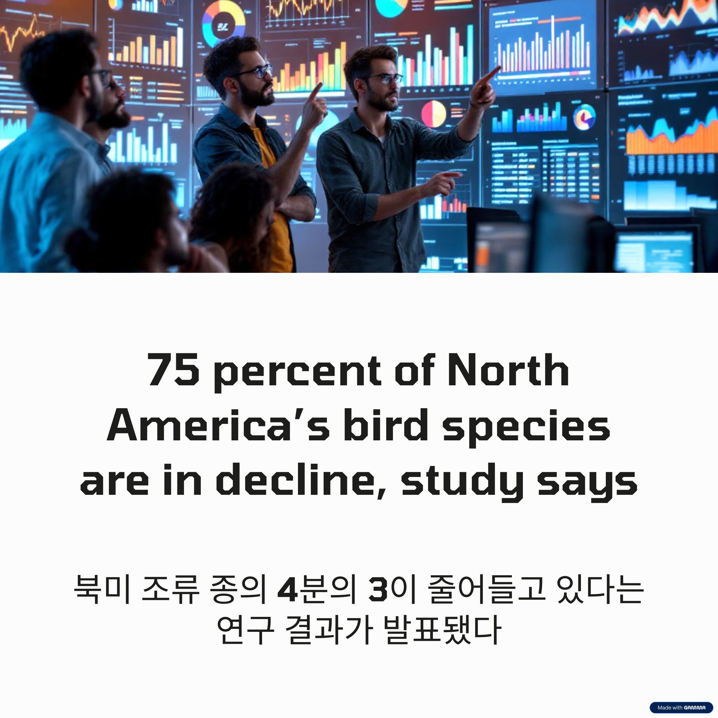 데이터 분석가들이 조류 75% 감소 통계를 분석하는 장면,워싱턴포스트의 기사 제목, 75 percent of North America’s bird species are in decline, study says, 북미 조류 종의 75%가 감소되고 있다는 연구 결과가 발표됐다