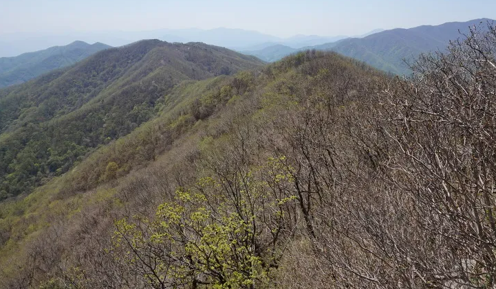  [100대 명산] 김천시 황악산 교통수단과 등산코스, 근처 관광지 총정리