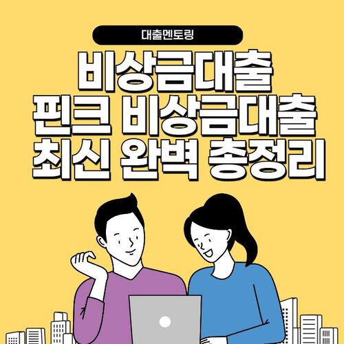 비상금대출 핀크 비상금대출 최신 완벽 총정리