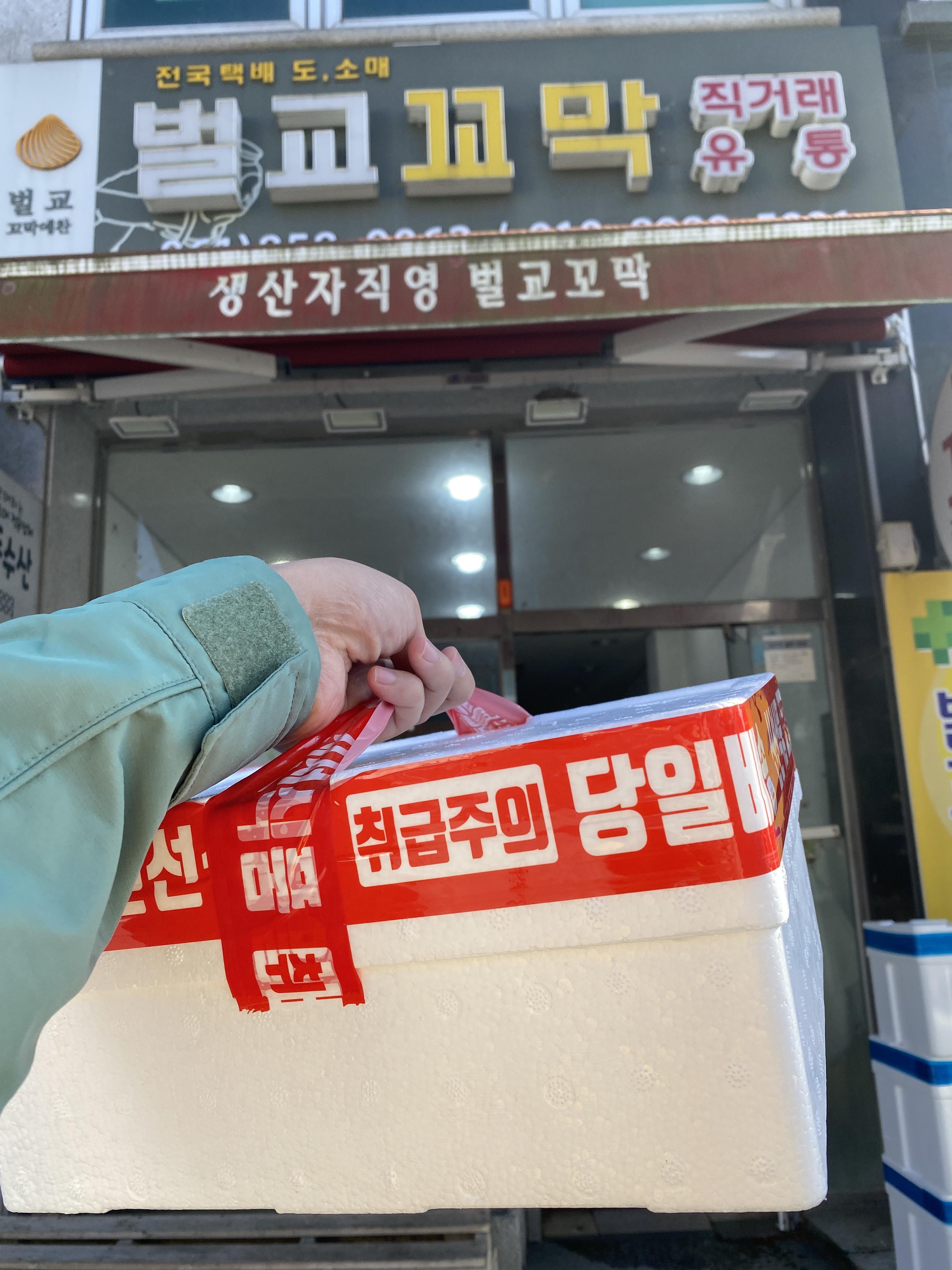  전남 보성군 가볼만한곳 벌교전통시장 벌교꼬막구매 벌교꼬막 꼬막가격 벌교꼬막예찬