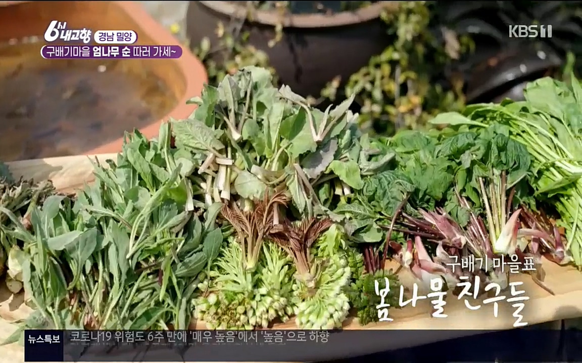 6시 내고향.E7510.220414p.H264-F1RST.mp4_20220419_182331.105.jpg
