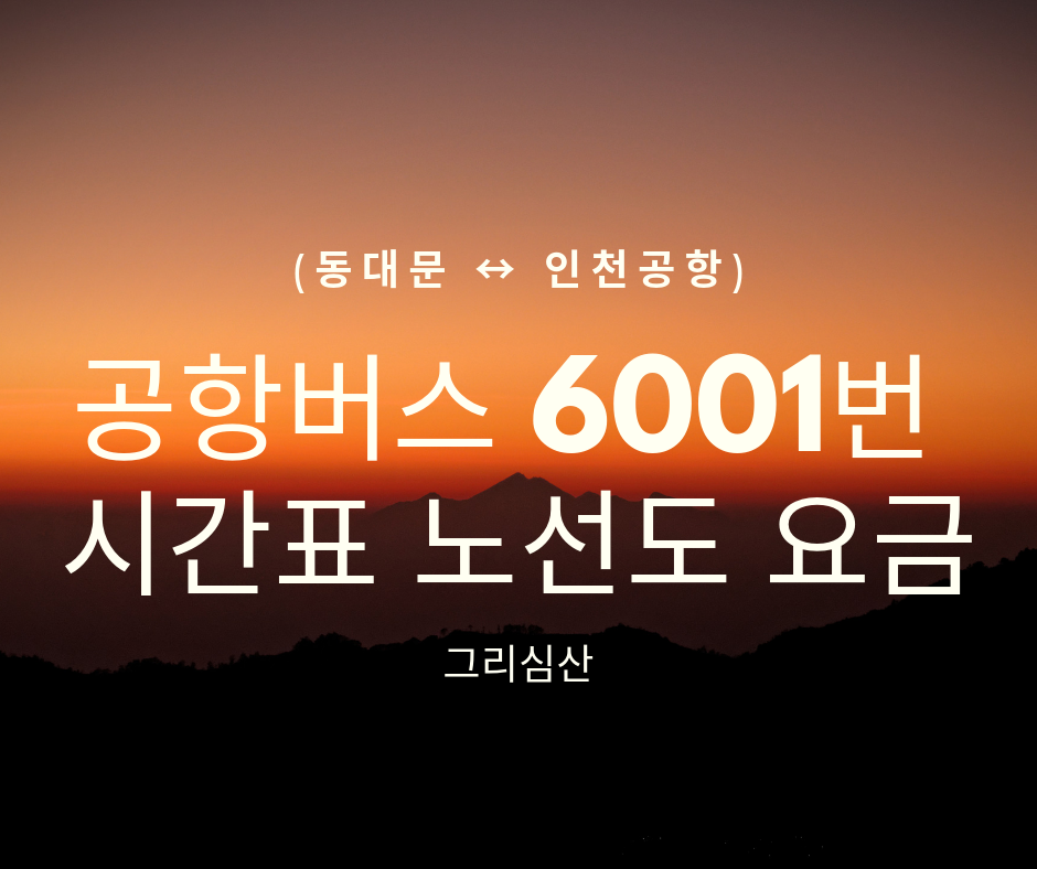  공항버스 6001번 시간표 노선도 요금 안내 [동대문 ↔ 인천공항]