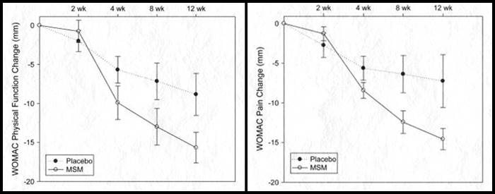 MSM 관절 통증 감소 연구