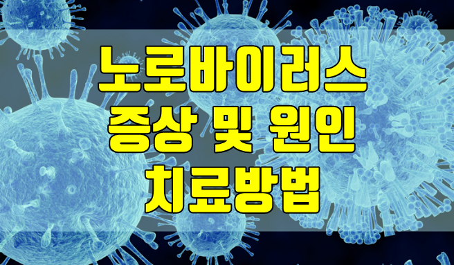  노로바이러스 증상과 원인 및 예방방법