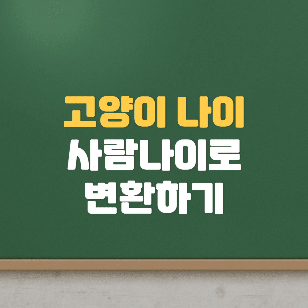  고양이 나이를 사람 나이로 계산하기