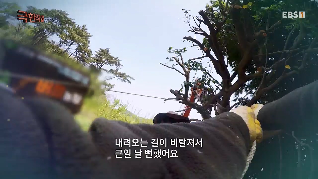 TV - 전 국민의 평생학교 EBS휴식공간을 만드는 사람들, 대형목 이식과 조경.mp4_20240518_160843.954.jpg