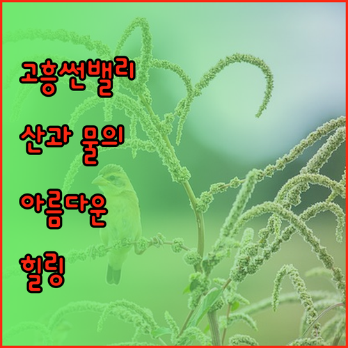 고흥썬밸리리조트 산과 물이 어우러진 