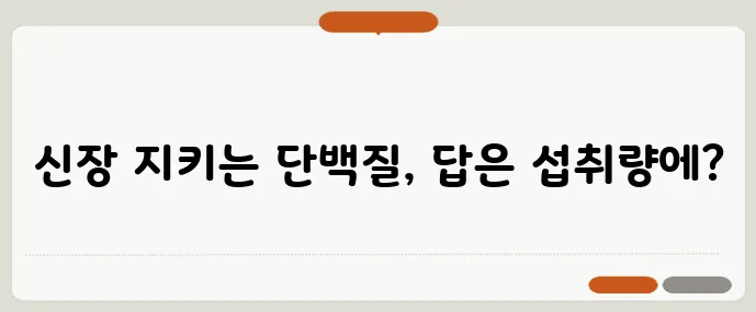 단백질 과다 섭취 신장 부담 줄이는 1일 섭취량 계산이 중요합니다!