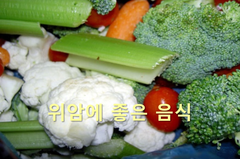  위암에 좋은 음식과 위암에 좋은 과일