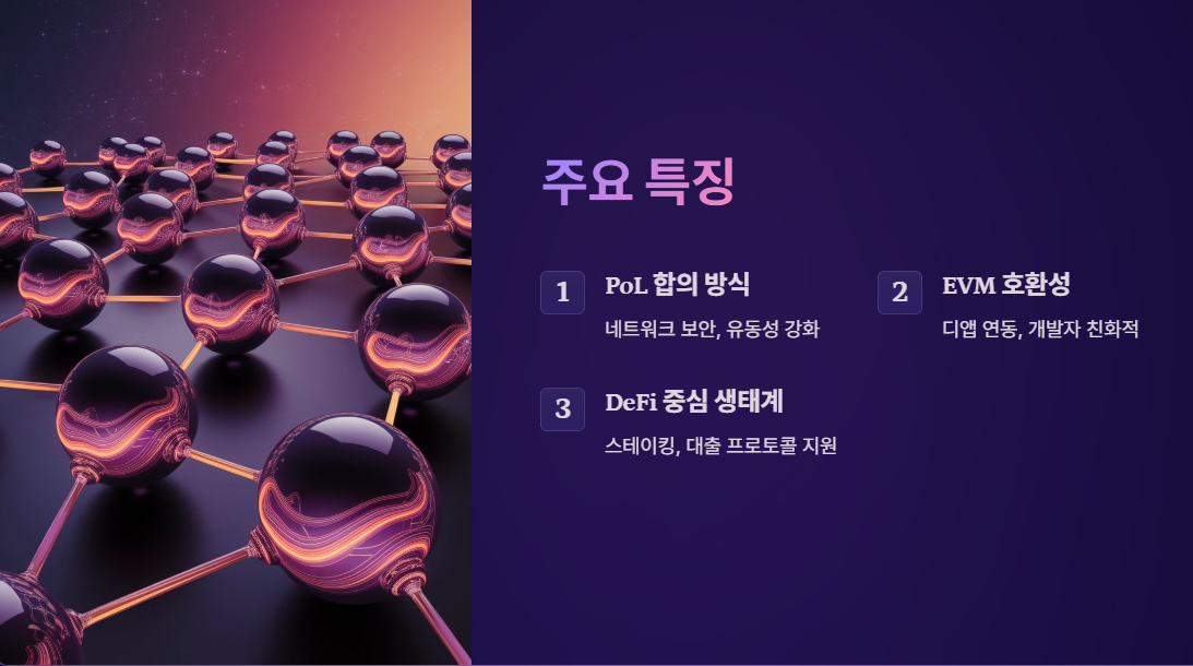 베라체인 주요 특징