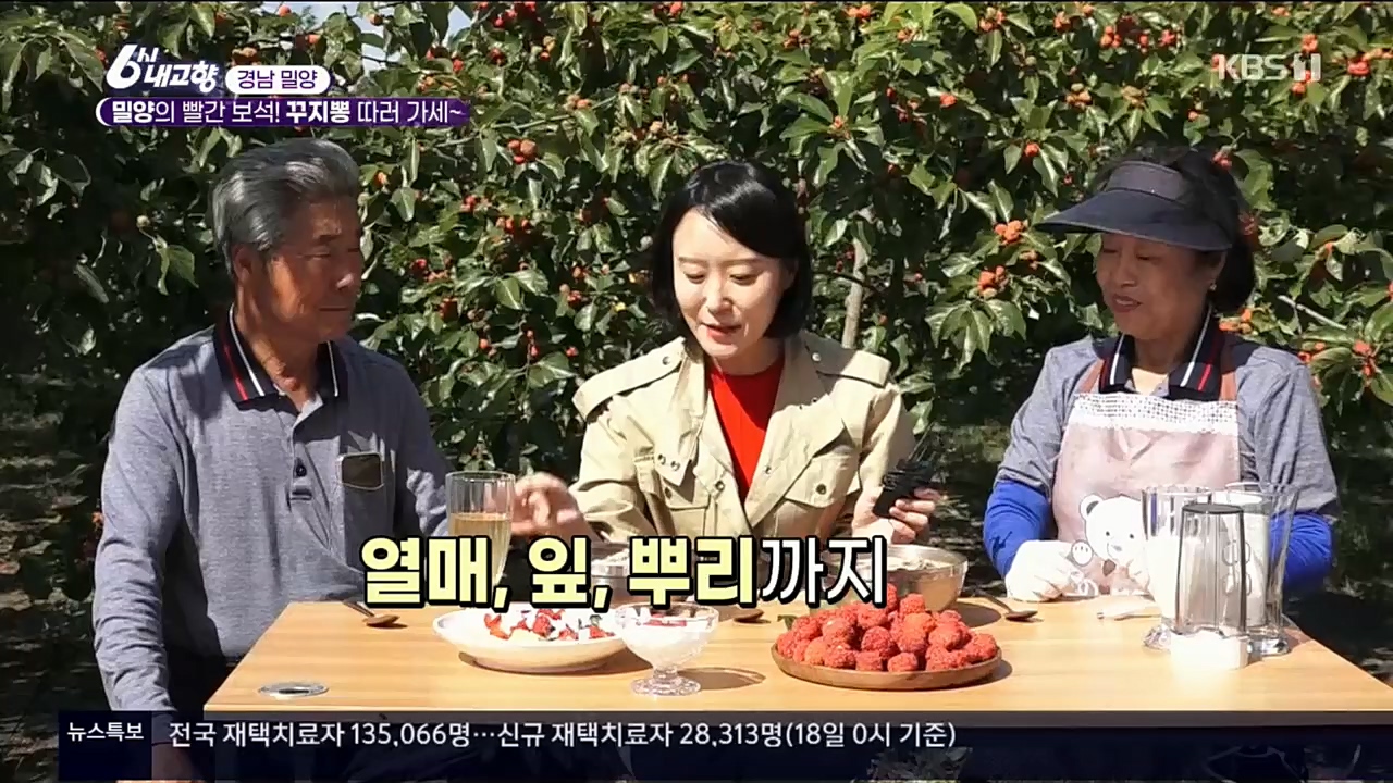 6시 내고향.E7640.221019p.H264-F1RST.mp4_20221020_170055.381.jpg