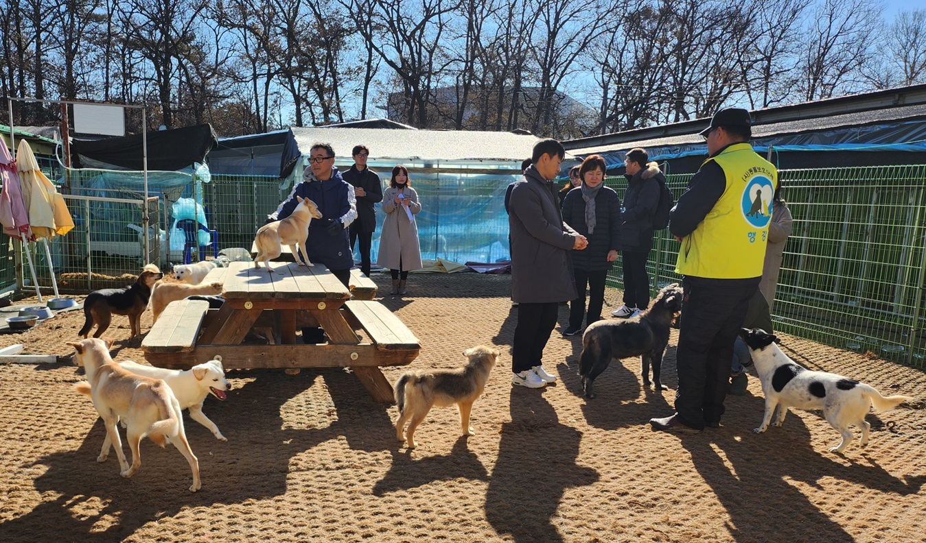 국민권익위 반려동물 관련 활동