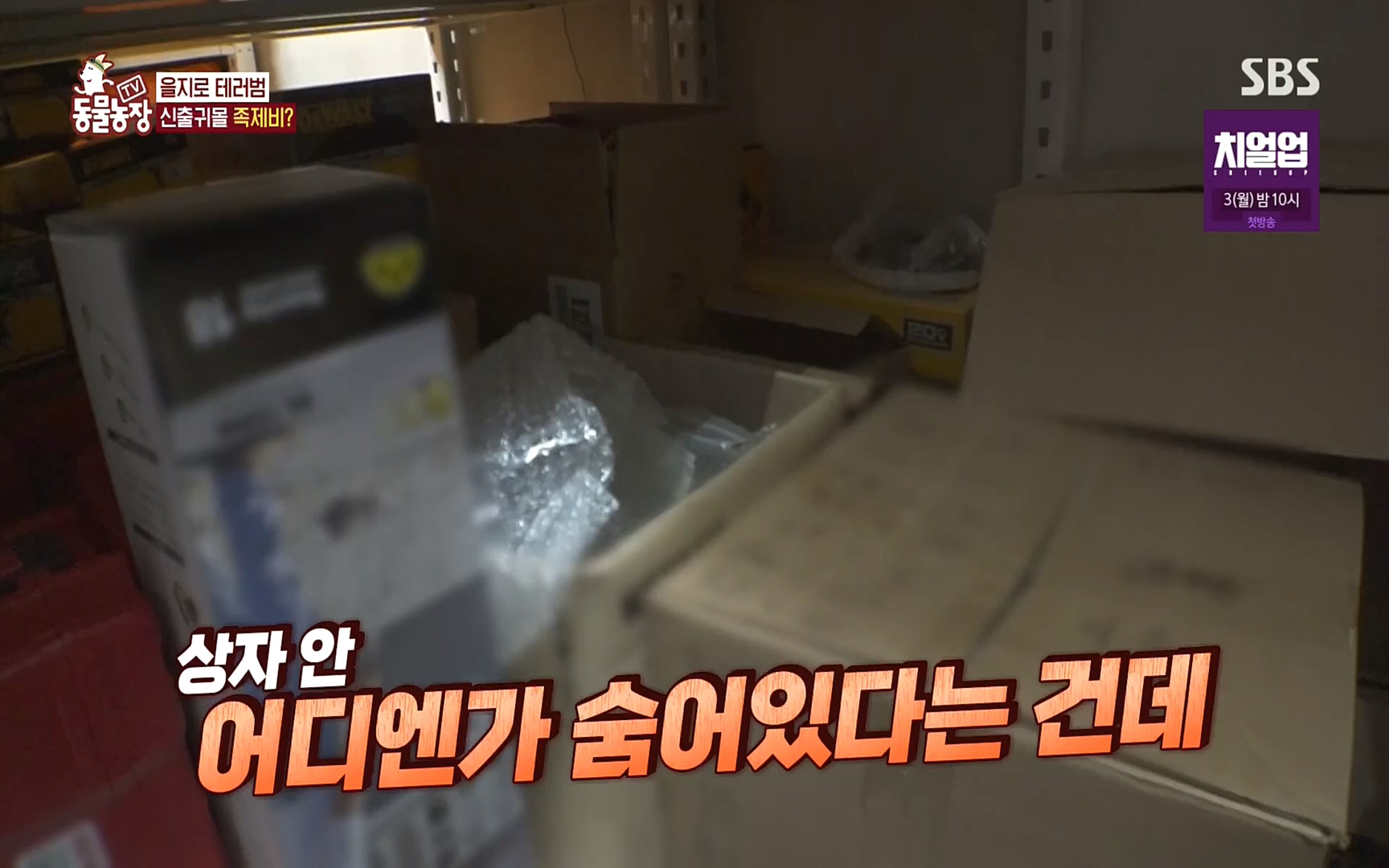 TV 동물농장.E1088.220925p.H264-F1RST.mp4_20220925_174358.507.jpg