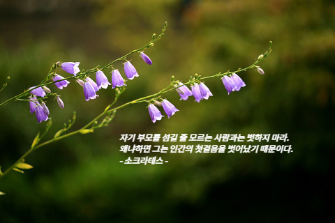 기억사진관_ 이미지