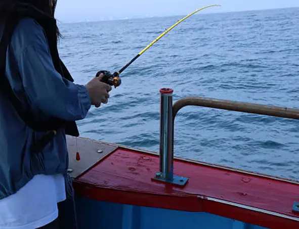 빅스호