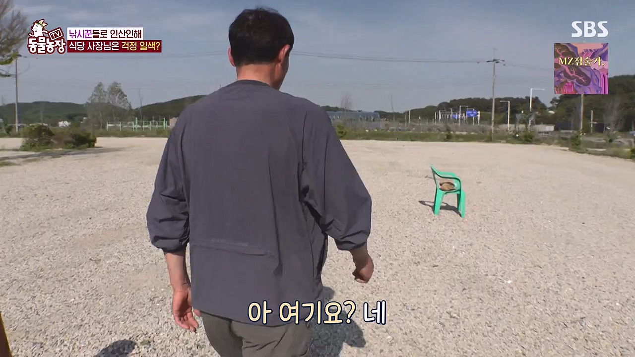 TV 동물농장.E1176.240617p-NEXT.mp4_20240616_171029.100.jpg