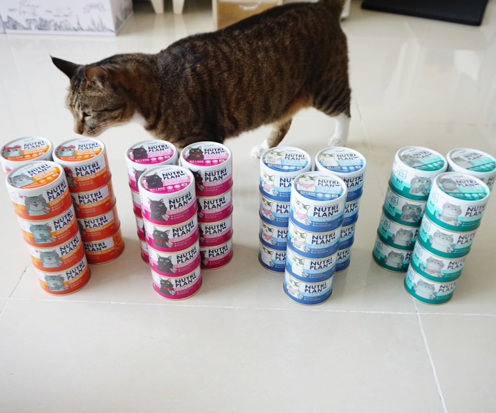 구냥이 고양이캔으로 네 건강관리해요