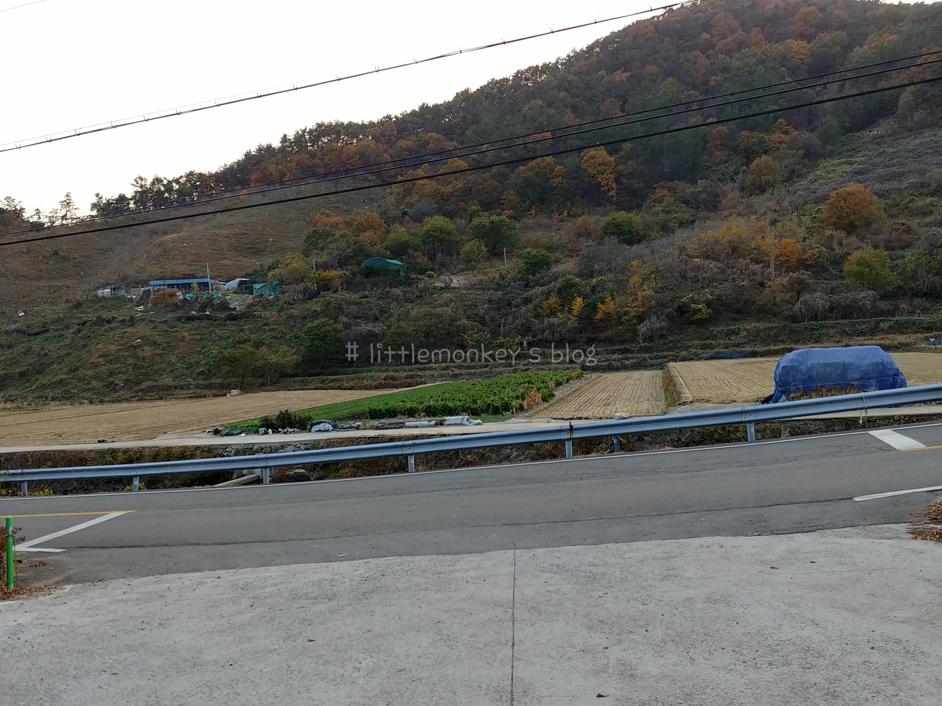 고성장좌리캠핑장 이미지