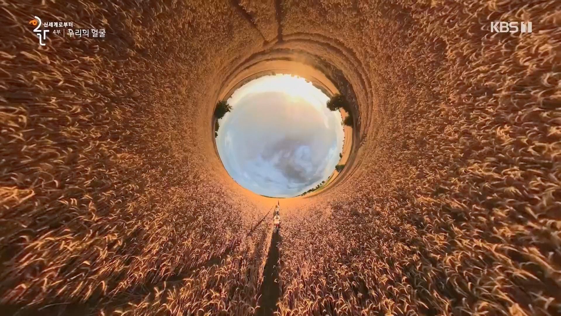 다큐 인사이트.E173.231130p.H264-F1RST.mp4_20231201_205330.778.jpg