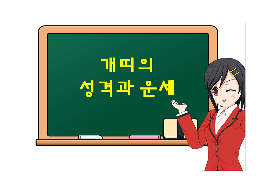  개띠의 성격과 운세, 개띠에 대해 궁금하다면?