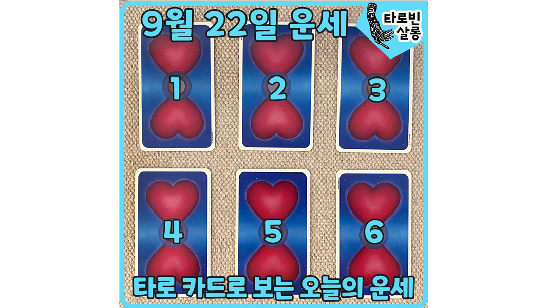  [12월 6일 운세] 타로 카드로 보는 365일 운세