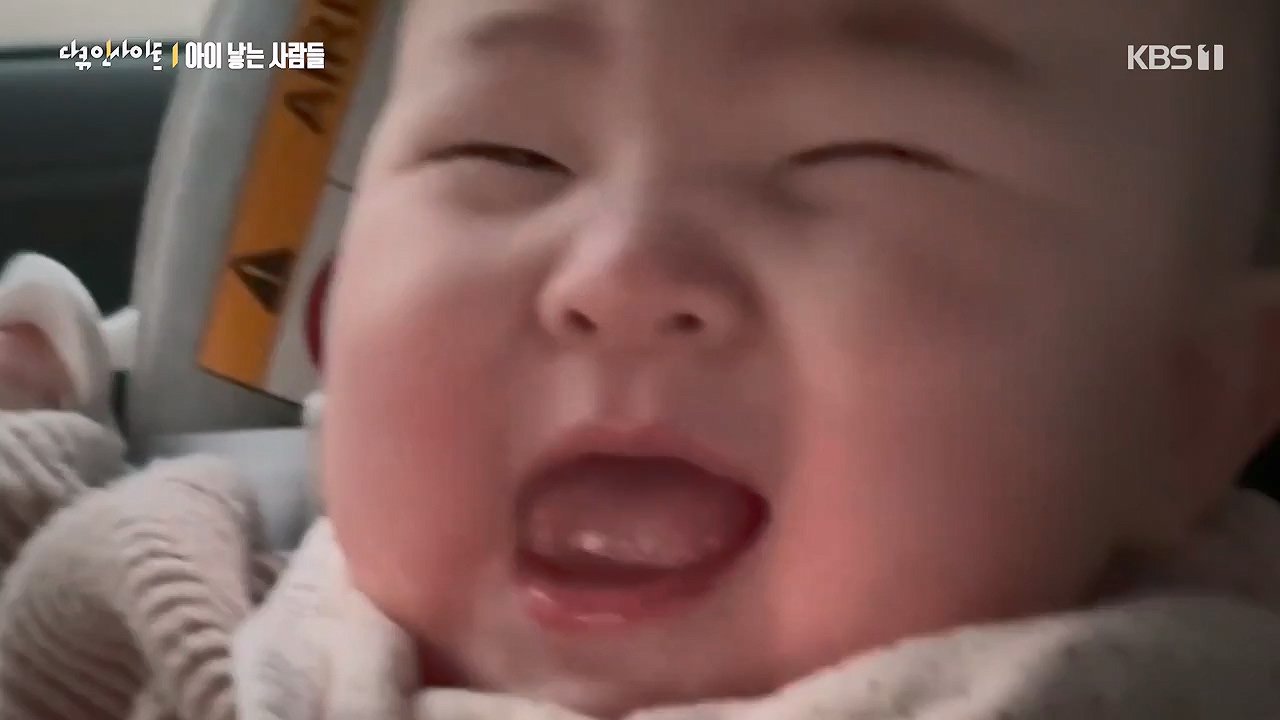 다큐 인사이트.E192.240614p-NEXT.mp4_20240615_013538.469.jpg