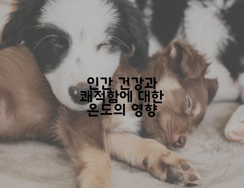 인간 건강과 쾌적함에 대한 온도의 영향