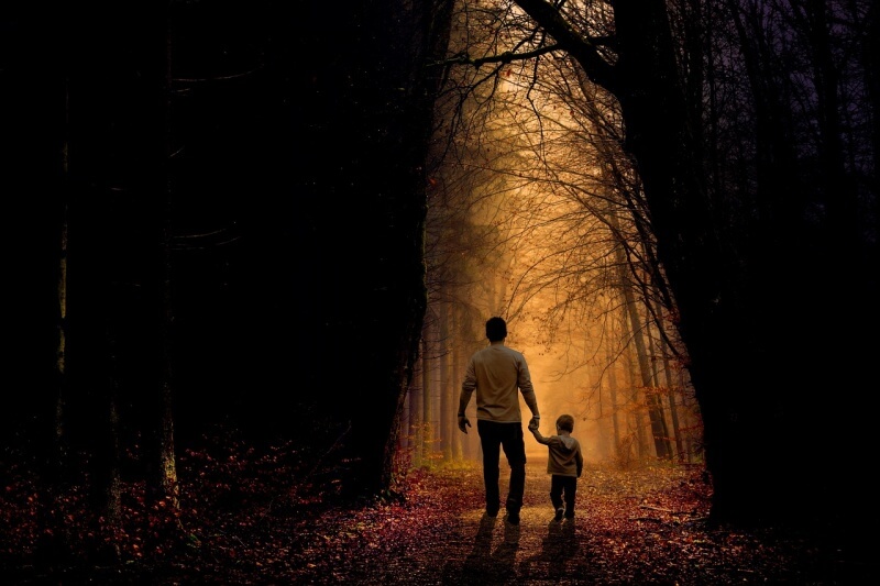아버지와 자식이 손을 잡고 숲을 걸어가는 사진