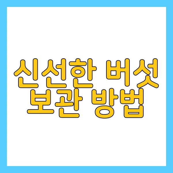 img.webp