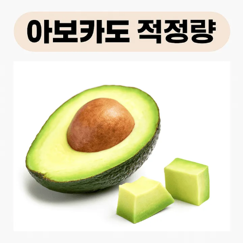 아보카도 적정량-썸네일이미지