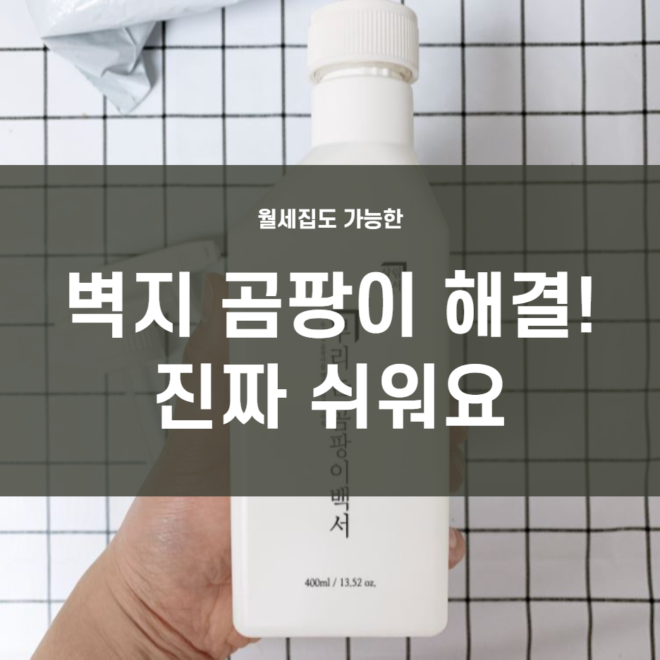  벽지 곰팡이 제거법과 월세집 곰팡이 발생시 해결법