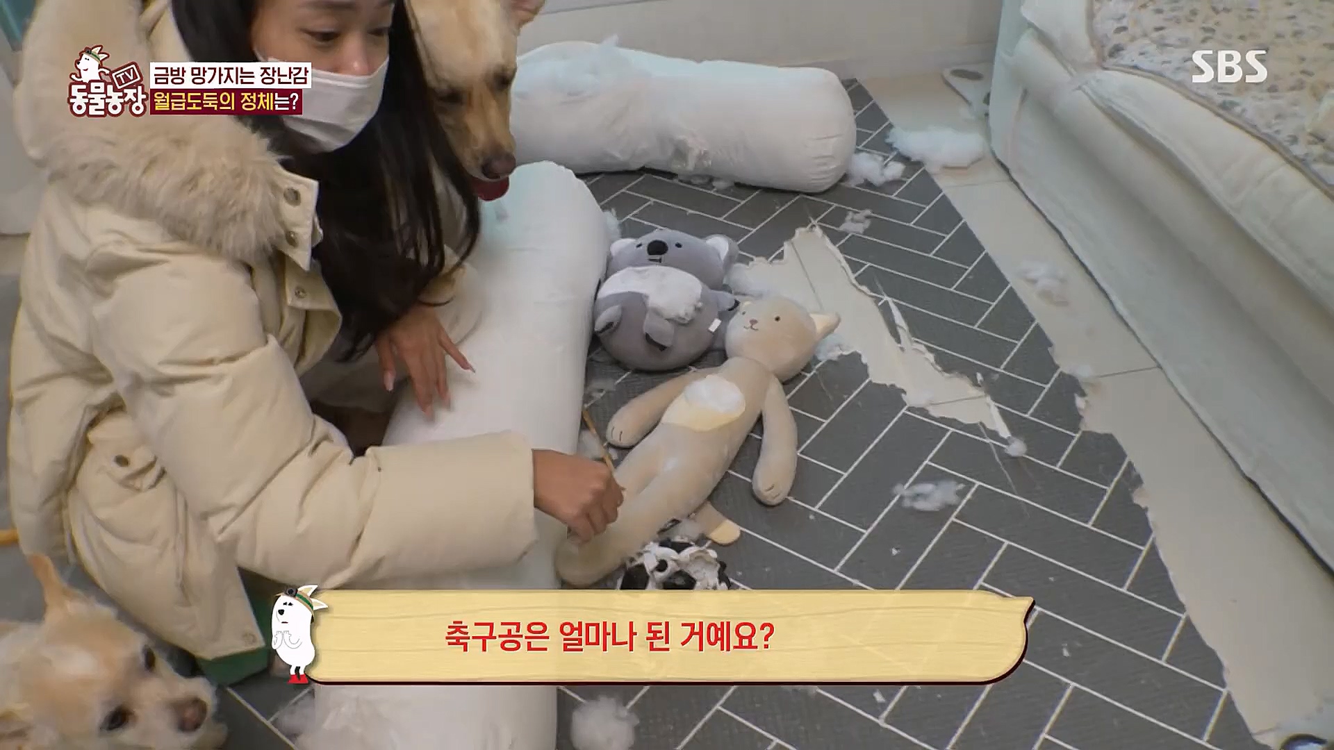 TV 동물농장.E1106.230129p.H264-F1RST.mp4_20230130_192725.415.jpg