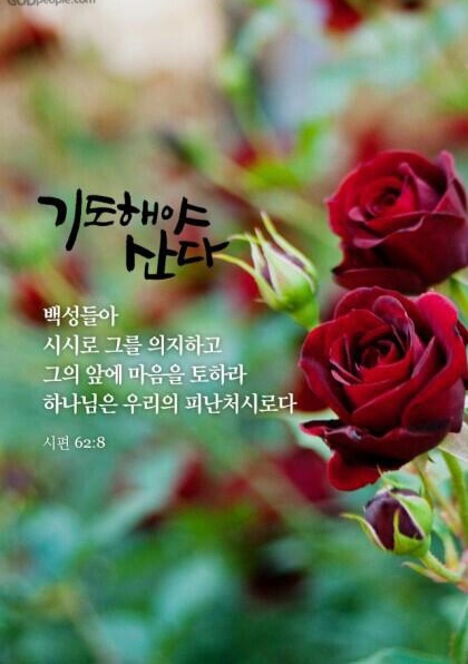 그리로 이미지