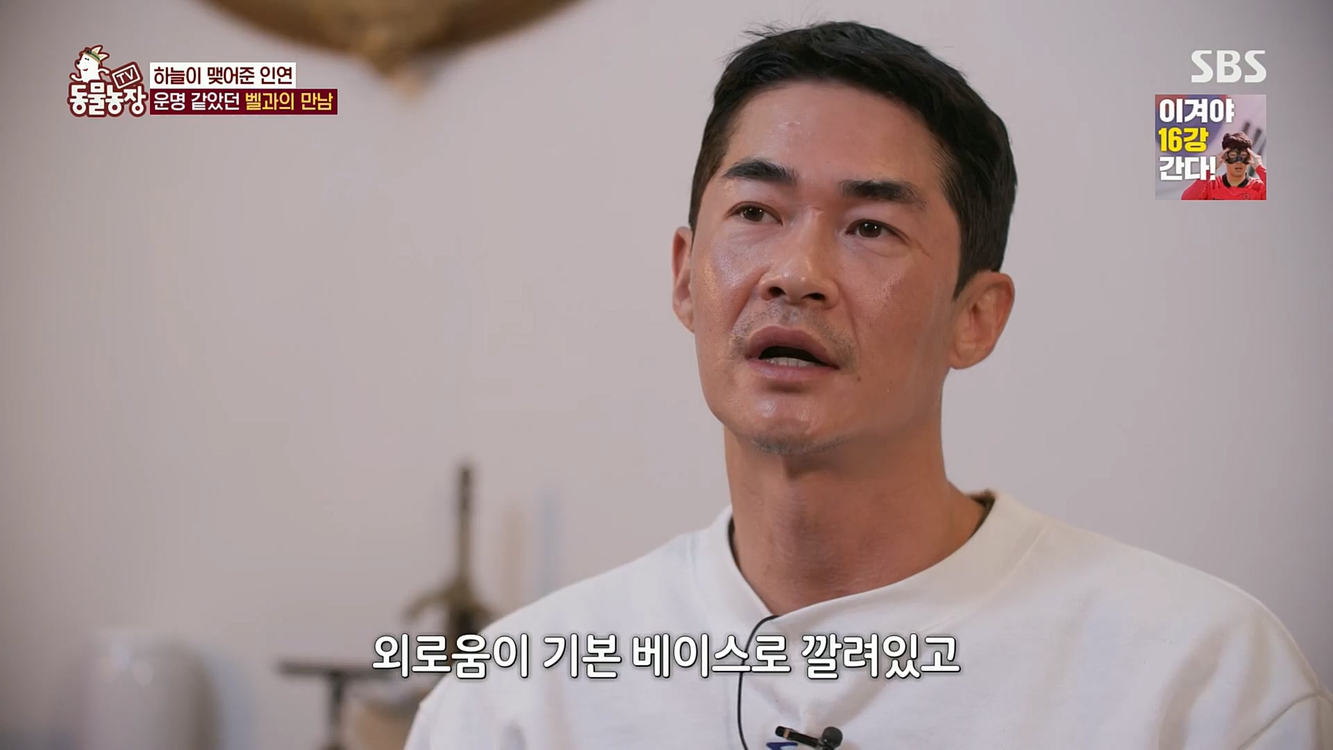 TV 동물농장.E1096.221120p.H264-F1RST.mp4_20221120_193729.169.jpg