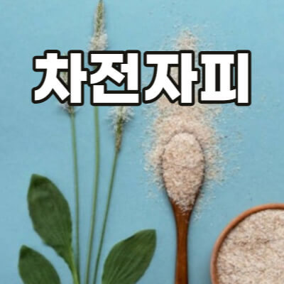 차전자피 효능&#44; 부작용&#44; 먹는 법