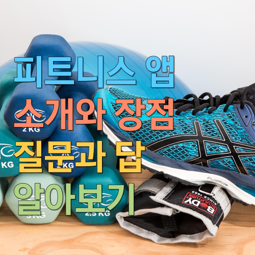  피트니스 앱 소개와 장점 질문과 답 알아보기
