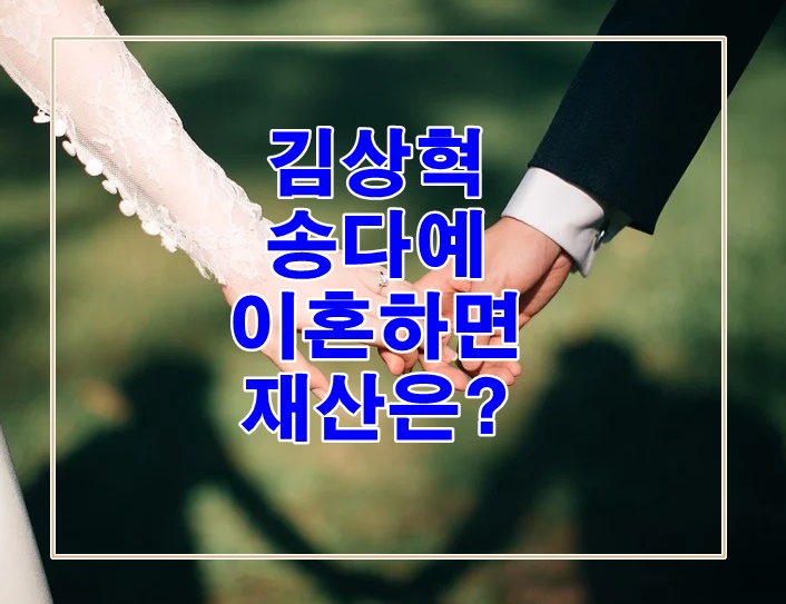  김상혁 송다예 이혼하면 재산은?