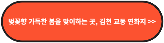 벚꽃과함께