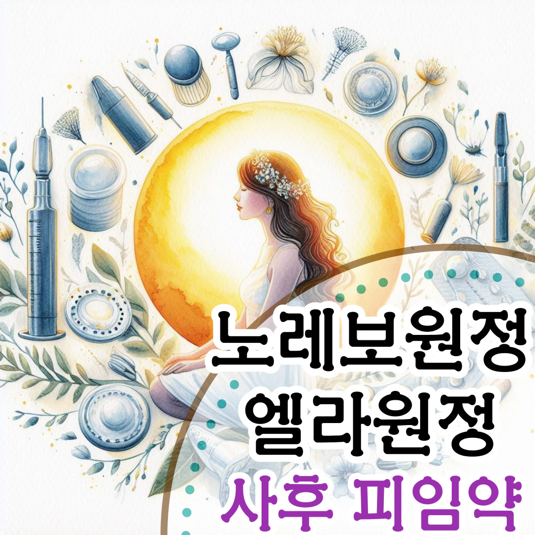 [사후피임약]노레보원정(노레보)-엘라원정(엘라원)